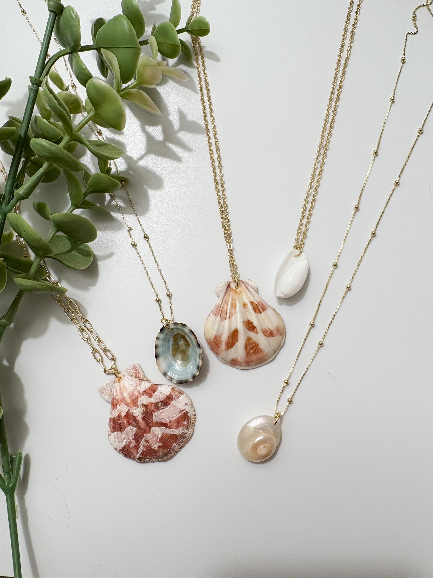 Seashell Treasure Neckalce