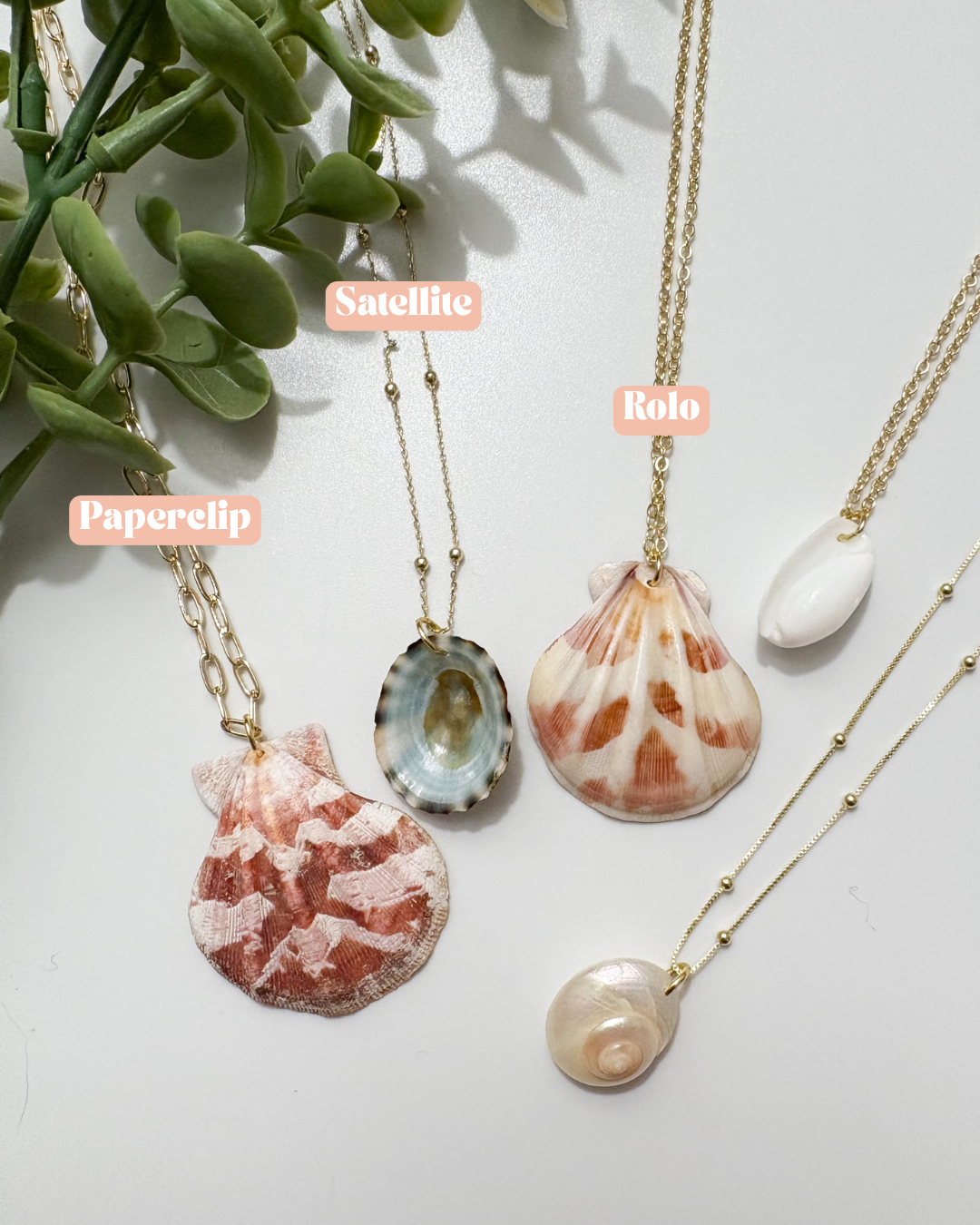 Seashell Treasure Neckalce