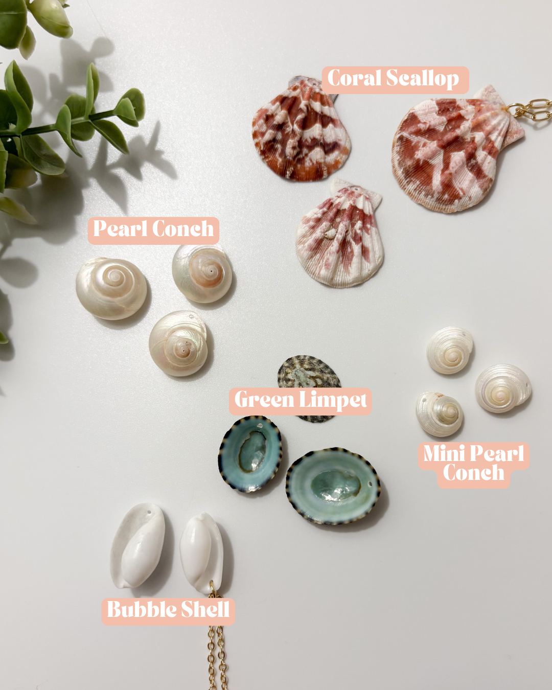 Seashell Treasure Neckalce